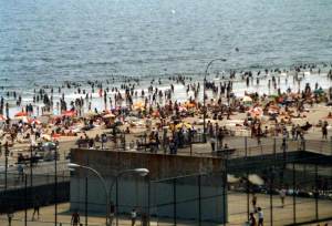 daniel adler rockaway