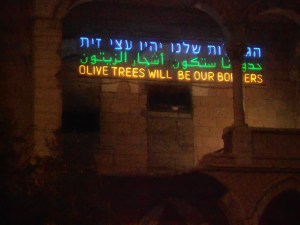 Olive Trees Will Be Our Borders.