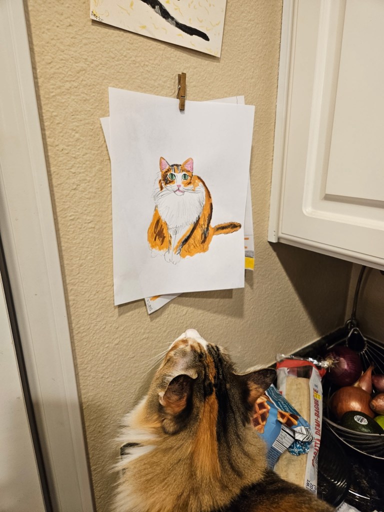 pet drawings by daniel adler